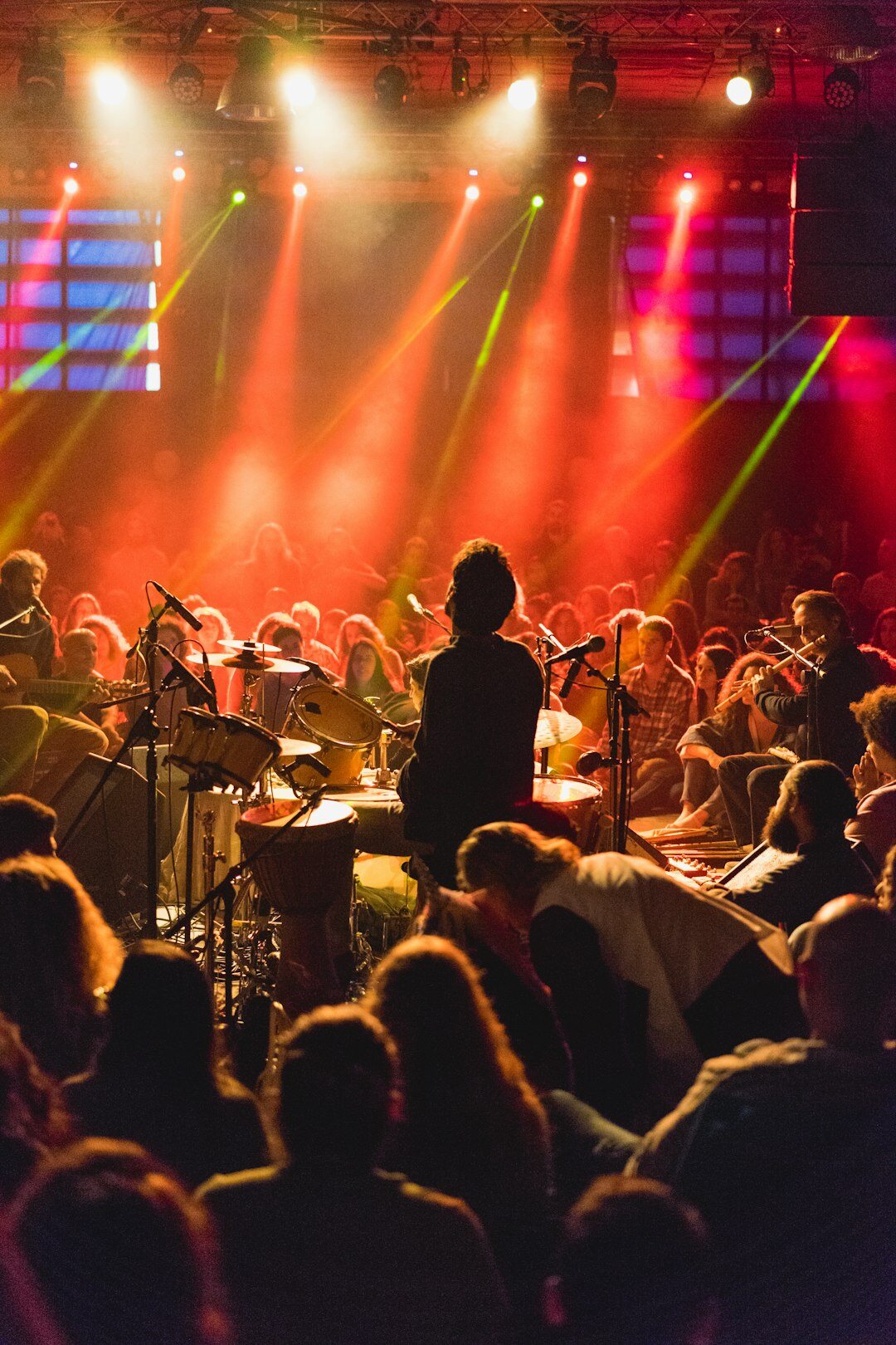 musician performing live concert